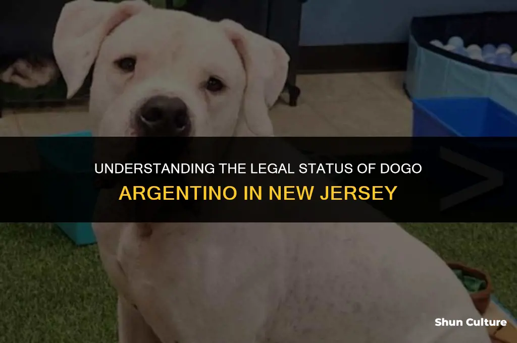 are dogo argentino illegal in new jersey