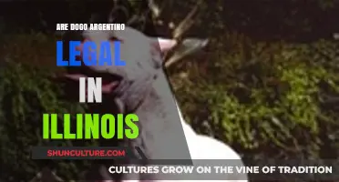 Understanding Dogo Argentino Ownership Laws in Illinois
