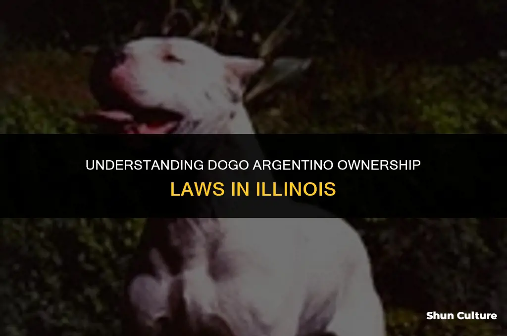 are dogo argentino legal in Illinois