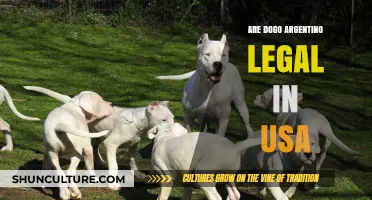 Understanding the Legal Status of Dogo Argentino in the USA