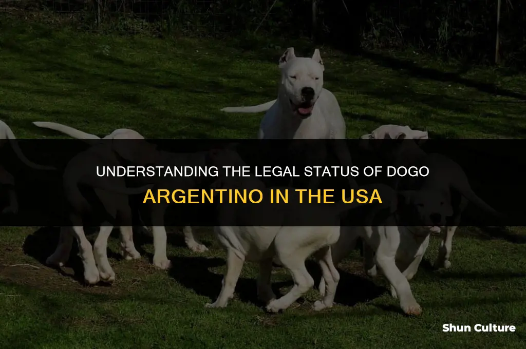 are dogo argentino legal in usa