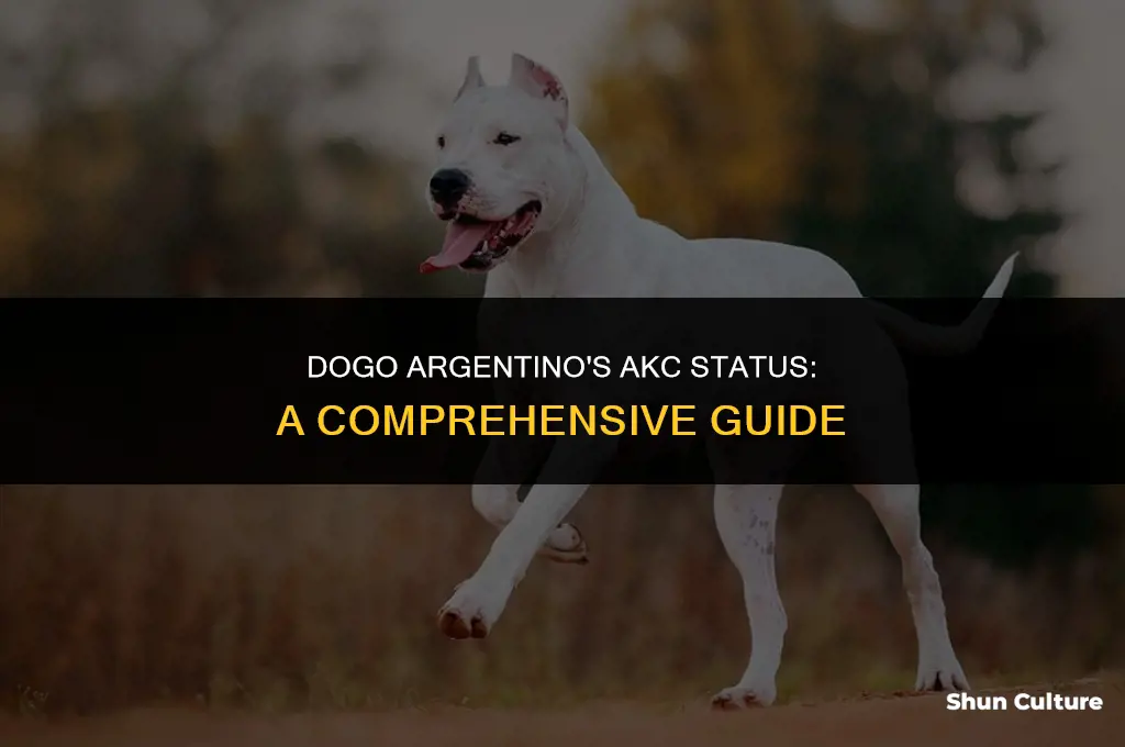are dogo argentino part of the akc