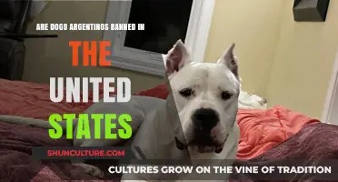 Understanding the Legal Status of Dogo Argentinos in the United States