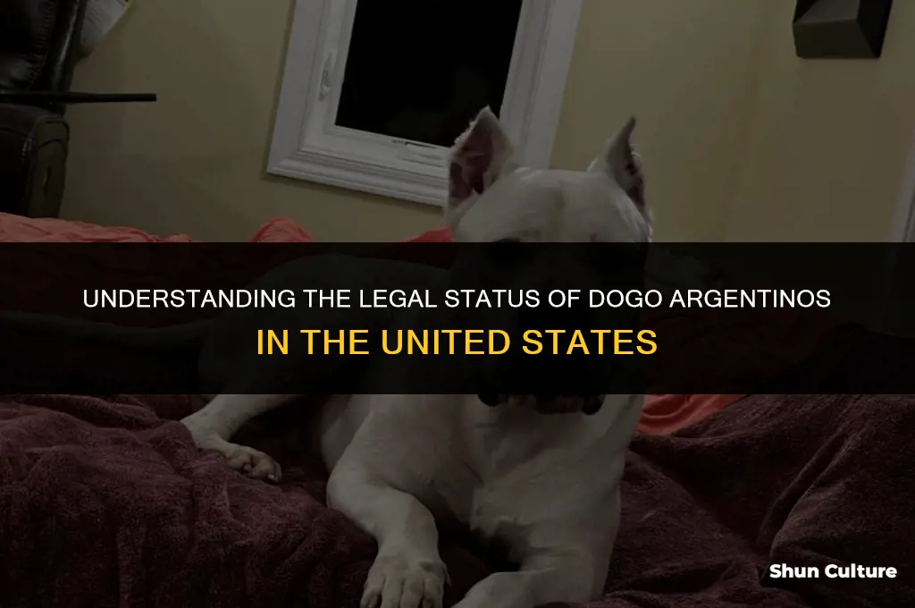 are dogo argentinos banned in the united states