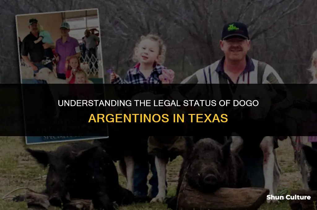 are dogo argentinos illegal in Texas