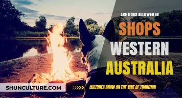 Where Can You Shop With Your Dog in Western Australia?