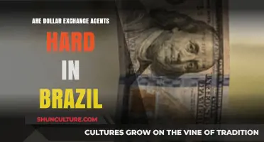 Navigating Dollar Exchange in Brazil: Are Agents Truly Challenging?