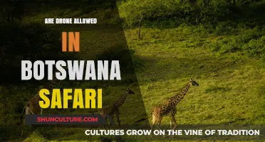Drone Regulations in Botswana: Are They Allowed on Safari?