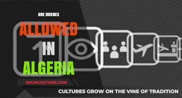 Are Drones Allowed in Algeria? Regulations and Legal Insights