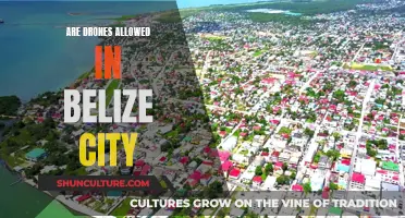 Drone Laws in Belize City: What You Need to Know