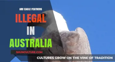 Are Eagle Feathers Illegal in Australia? Understanding the Legalities