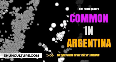 Shaking Grounds: Understanding Earthquake Frequency in Argentina