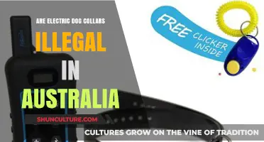 Are Electric Dog Collars Illegal in Australia? Legal Insights
