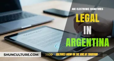 Exploring the Legality of Electronic Signatures in Argentina
