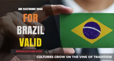Are Electronic Visas for Brazil Valid? Essential Travel Info