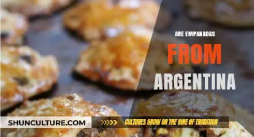 Exploring the Origins: Are Empanadas Truly Argentine?