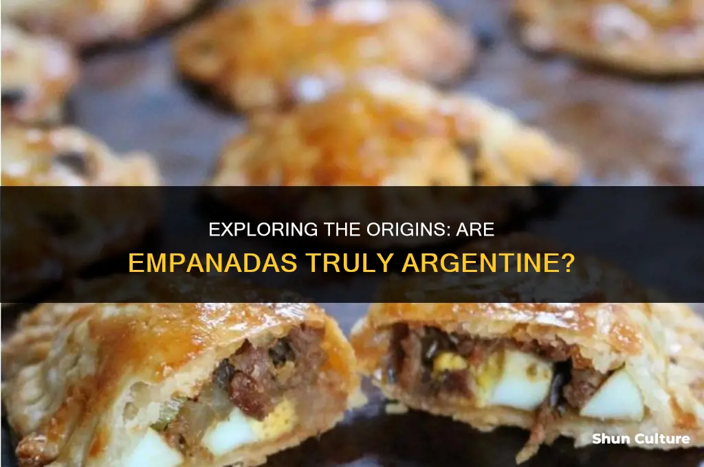 are empanadas from argentina