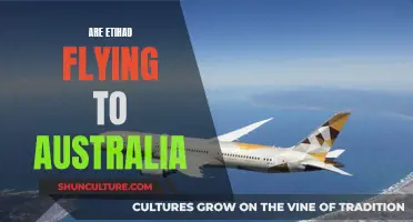 Etihad Airways: Flying to Australia Again?
