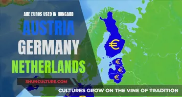 Which European Countries Use Euros as Currency?