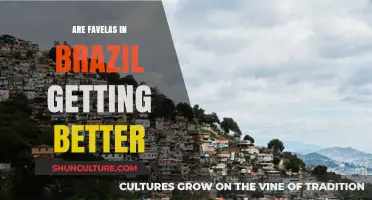 Favelas in Brazil: Progress, Challenges, and Hope for a Better Future