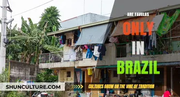 Beyond Brazil: Exploring Global Favela-Like Communities and Their Realities