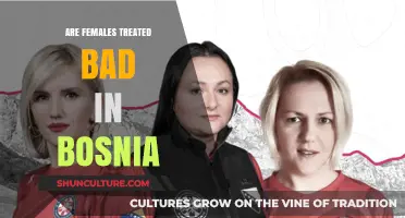 Gender Inequality in Bosnia: Examining the Treatment of Women