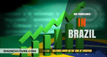 Exploring the Presence and Impact of Freelancers in Brazil's Economy