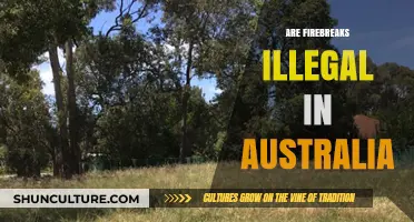 Are Firebreaks Legal in Australia? Understanding Bushfire Prevention Laws