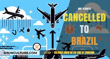 Are Flights to Brazil Cancelled? Latest Travel Updates and Advisories