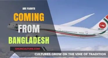 Are Flights from Bangladesh Operating? Latest Updates and Travel Info