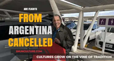 Argentina Flights: Latest Updates on Cancellations and Travel Advisories