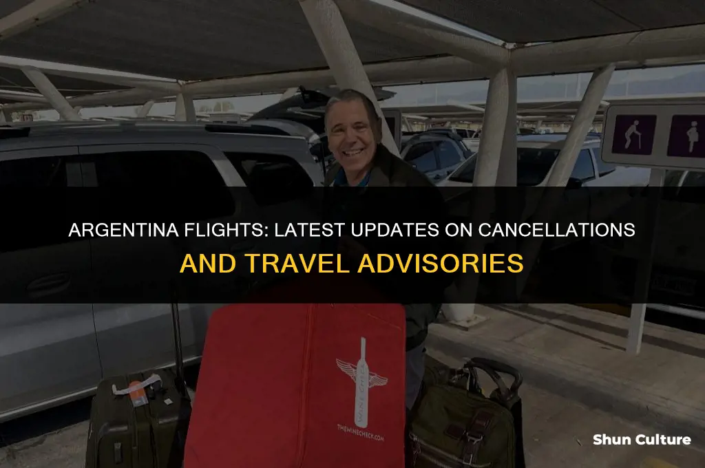 are flights from argentina cancelled