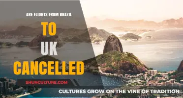 Brazil to UK Flights: Current Status and Cancellation Updates