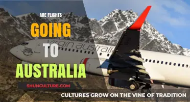 Are Flights to Australia Resuming? Latest Updates and Travel Insights