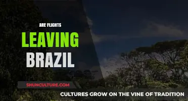 Are Flights Leaving Brazil? Current Status and Travel Updates