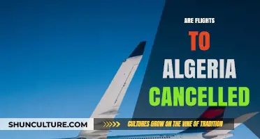 Are Flights to Algeria Cancelled? Latest Updates and Travel Advice