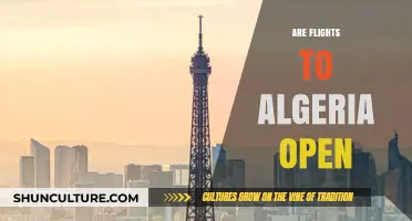 Are Flights to Algeria Open? Current Travel Updates and Guidelines