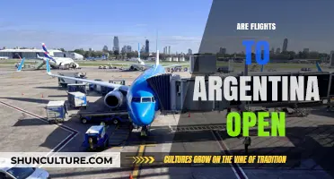 Are Flights to Argentina Open? Latest Travel Updates and Guidelines