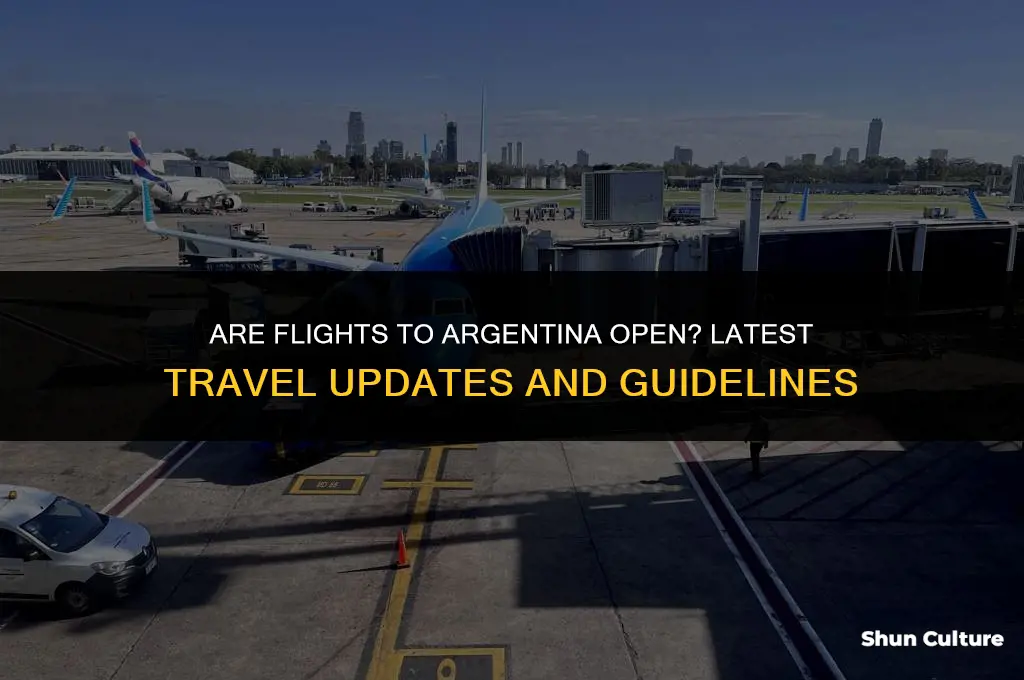 are flights to argentina open