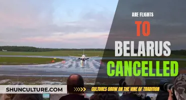 Flights to Belarus: Cancelled or Still Operational?