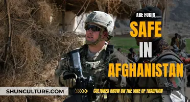 Fortress Afghanistan: Examining the Security of Remote Outposts