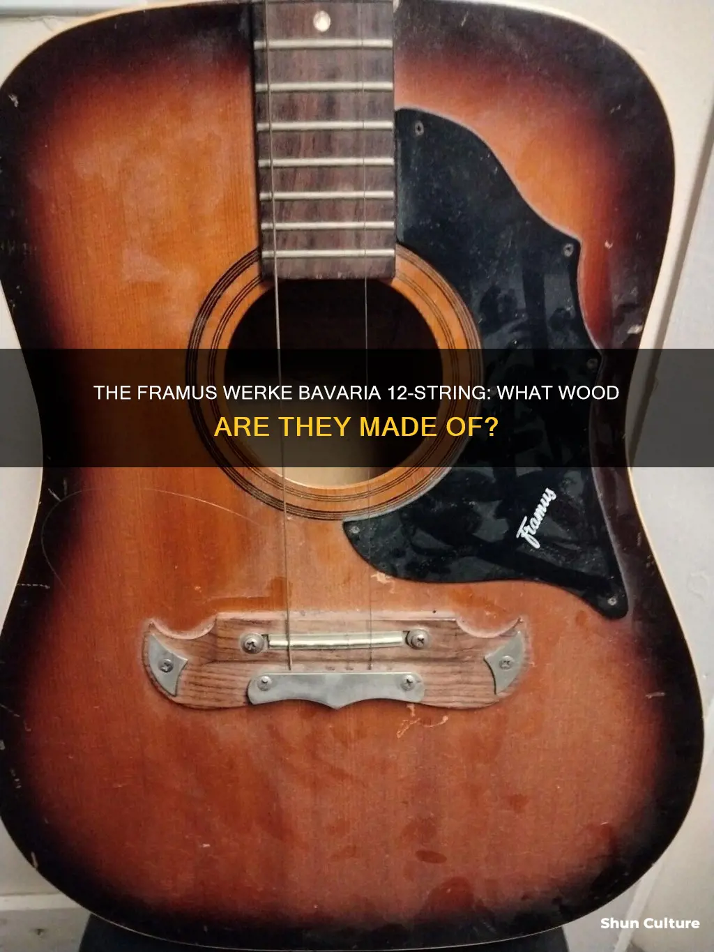 are framus werke bavaria 12 string guitar made of wood