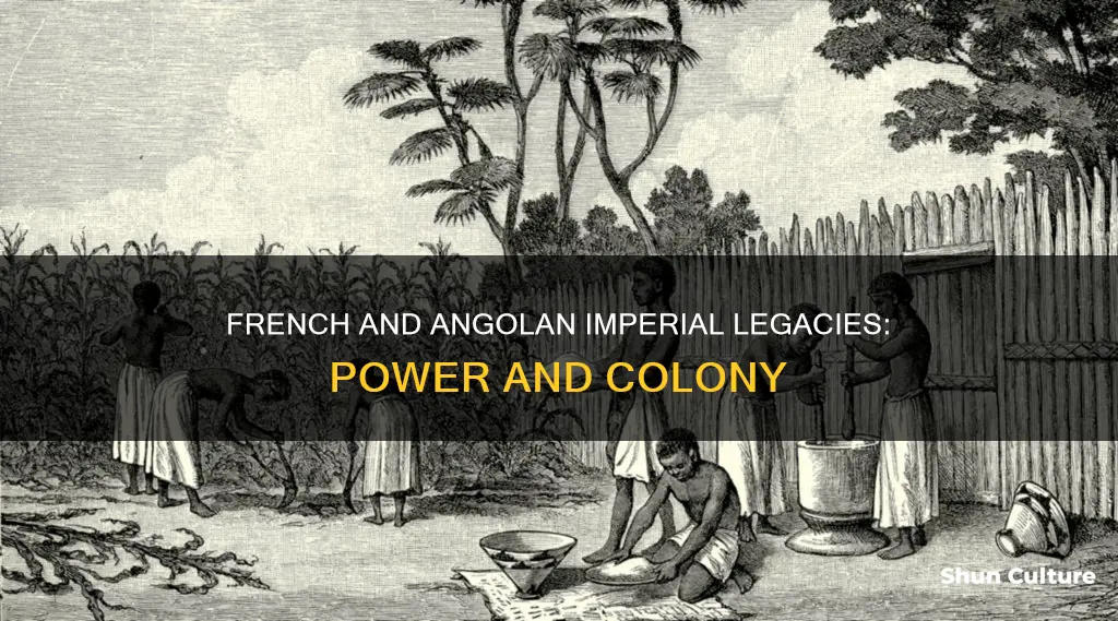 are french & angola imperial power and colony