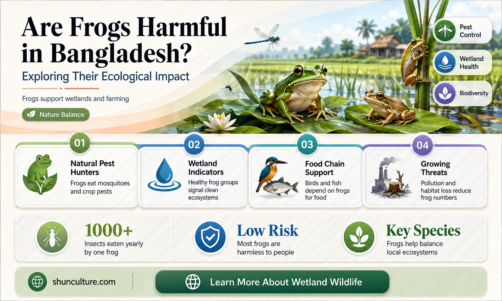 are frogs bad in bangladesh