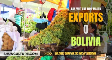 Exploring Bolivia's Fruit and Wine Exports