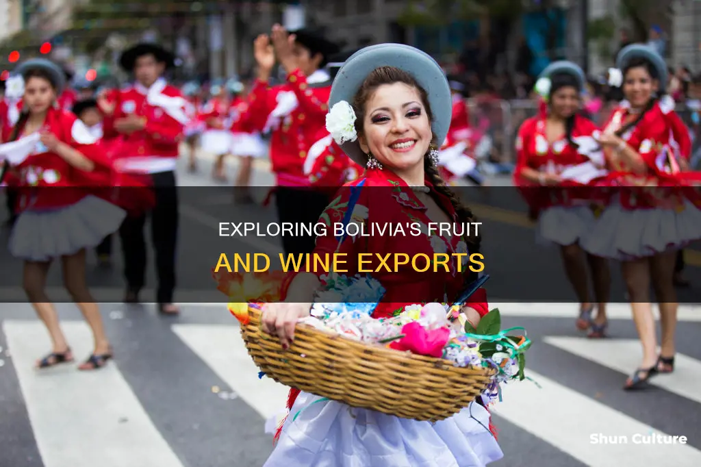 are fruit and wine major exports o bolivia