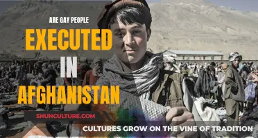 The Persecution and Silencing of Afghanistan's LGBTQ Community