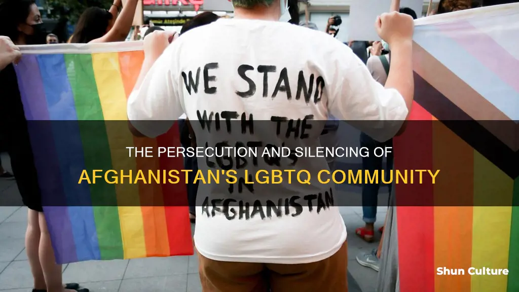 are gay people executed in afghanistan