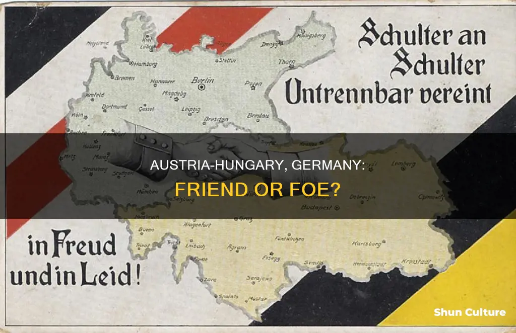 are germany and austria hungary friends or enemies