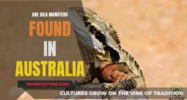Gila Monsters: Do They Live in Australia?